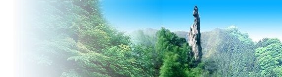 互動知識庫 住房服務(wù)