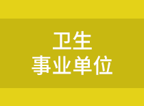 sydwndbg_ws.png